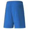 Puma Team Liga Shorts - Electric Blue Lemonade