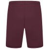 Puma Team Liga Shorts - Grape Wine