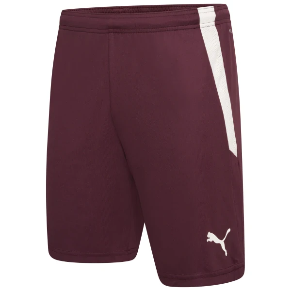 Puma Team Liga Shorts - Grape Wine