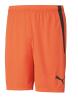 Puma Team Liga Shorts - Nrgy Red