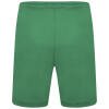 Puma Team Liga Shorts - Pepper Green