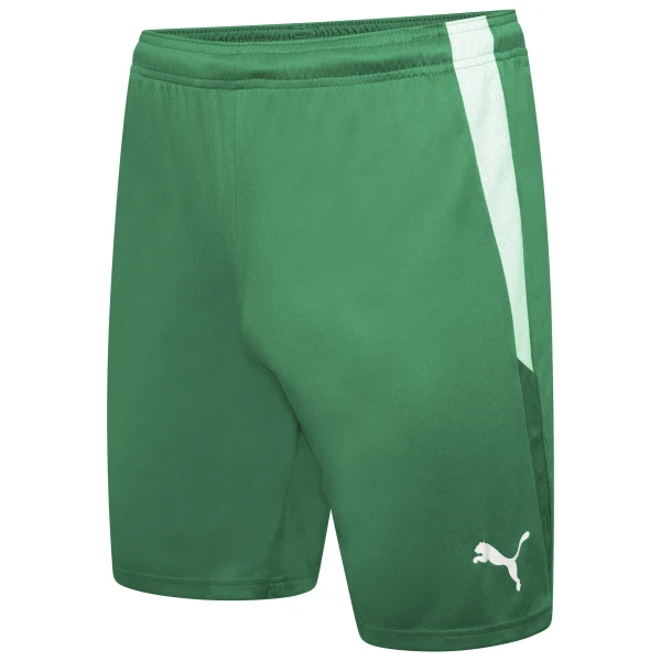 Puma Team Liga Shorts - Pepper Green