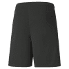 Puma Team Liga Shorts - Puma Black