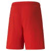 Puma Team Liga Shorts - Puma Red