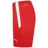 Puma Team Liga Shorts - Puma Red