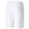 Puma Team Liga Shorts - Puma White