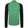 Puma teamLIGA Training 1/4 Zip - Pepper Green/Puma Black