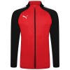 Puma-Team-Liga-25-Training-Jacket-Puma-RedPuma-Black-2.jpg