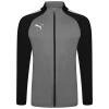 Puma teamLIGA Training Full Zip Training Jacket - Smoked Pearl/Puma White