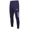 Puma Team Liga 25 Training Pants Pro - Peacoat