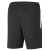 Puma Team Liga 25 Training Shorts - Puma Black/White