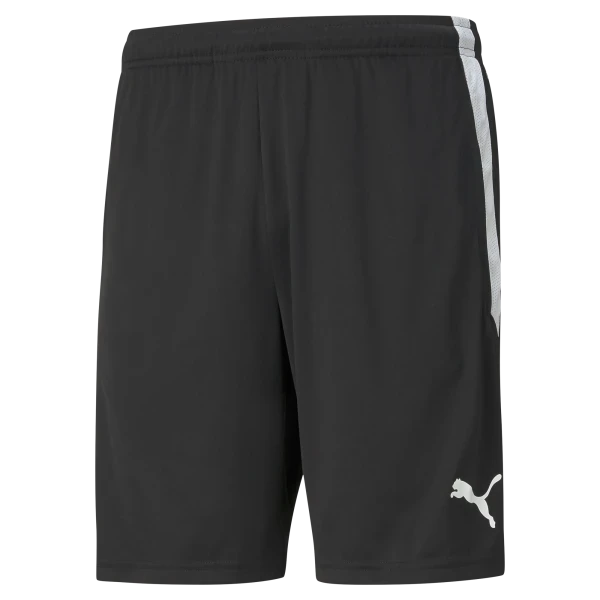 Billericay Town FC Coaches Shorts