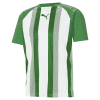 Puma teamLIGA Striped Jersey - Pepper Green