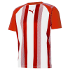 Puma teamLIGA Striped Jersey - Puma Red/White