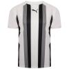 Puma teamLIGA Striped Jersey - Puma White