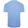 Puma teamLIGA Striped Jersey - Team Light Blue