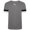 Puma teamRISE Jersey - Smoked Pearl