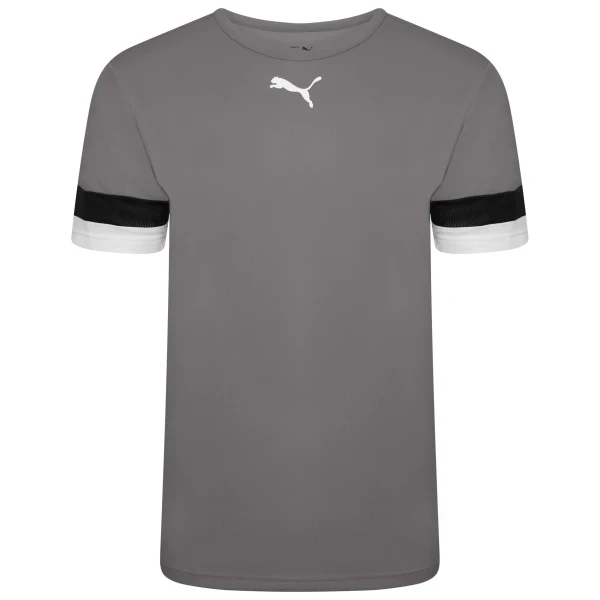 Puma teamRISE Jersey - Smoked Pearl