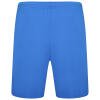 Puma Team Rise Shorts - Electric Blue Lemonade