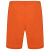 Puma Team Rise Shorts - Golden Poppy