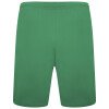 Puma Team Rise Shorts - Pepper Green