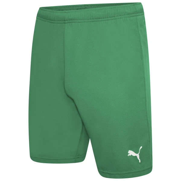 Puma Team Rise Shorts - Pepper Green