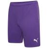 Puma Team Rise Shorts - Prism Violet