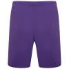 Puma Team Rise Shorts - Prism Violet