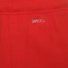 Puma Team Rise Shorts - Puma Red