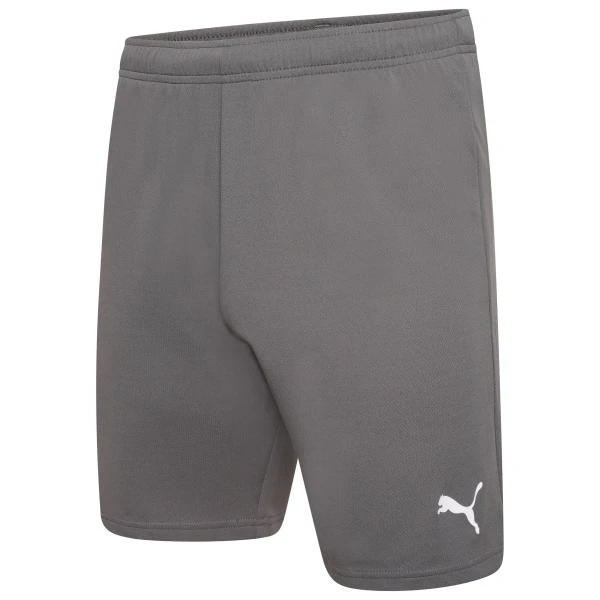 Puma Team Rise Shorts - Smoked Pearl