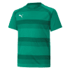 Puma teamVISION Jersey - Pepper Green