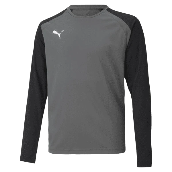 Puma teamPACER Goalkeeper Jersey Smoked Pearl