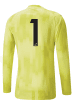 Ransomes Sports FC Goalkeeper Away Shirt 24