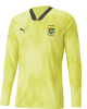 Ransomes Sports FC Goalkeeper Away Shirt 24