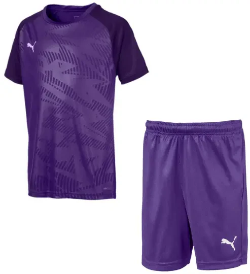 Puma Cup Goalkeeper Set - Purple - Age 9-10 Jersey, Age 11-12Y Shorts (End of Line)