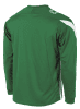 Stanno Drive Long Sleeve Shirt - Green / White