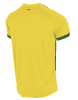 Stanno First Shirt - Yellow / Green