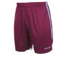 Stanno Focus Shorts - Maroon / Sky Blue