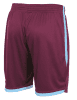 Stanno Focus Shorts - Maroon / Sky Blue