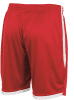 Stanno Focus Shorts - Red / White