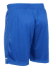 Stanno Focus Shorts - Royal