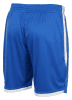 Stanno Focus Shorts - Royal /White