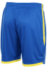 Stanno Focus Shorts - Royal / Yellow