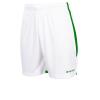 Stanno Focus Shorts - White / Green