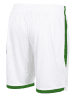 Stanno Focus Shorts - White / Green