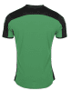 Stanno Pride Shirt Green / Black