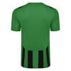 Umbro Ramone Jersey - TW Emerald / Black