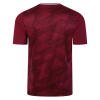 Umbro Triassic Jersey SS - Claret / New Port