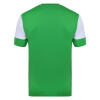 Umbro Vier Jersey - TW Emerald / White