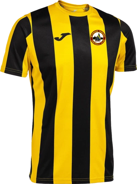 Wivenhoe Tempest FC Players Away Shirt 2024